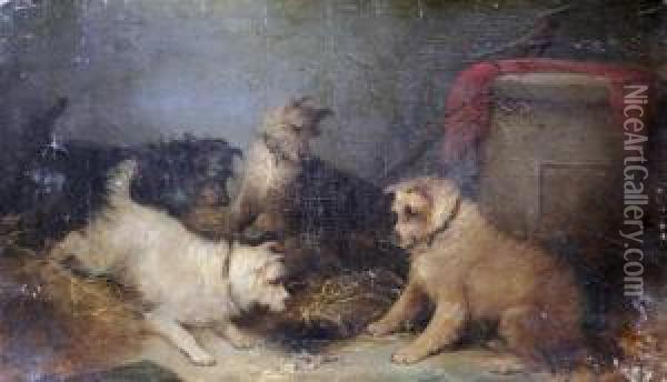 Terriers, On The Look Out! Oil Painting - George Armfield
