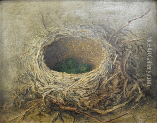 Bird's Nest (+ Another; Pair) Oil Painting - Albert Durer Lucas