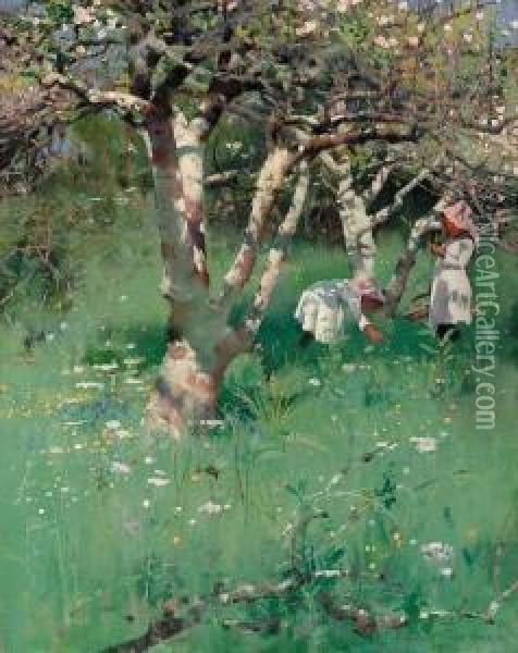 The Cornish Orchard Oil Painting - Frank Richards