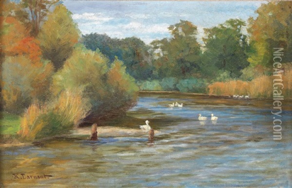 Ducks On The Pond Oil Painting - Hugo Darnaut