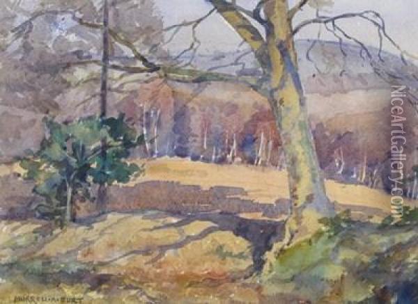 A Pool In The Beech Wood Oil Painting - Thomas Tayler Ireland