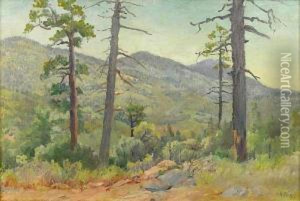 Cuyamaca Mountains, Gilman Point Oil Painting - Charles Arthur Fries