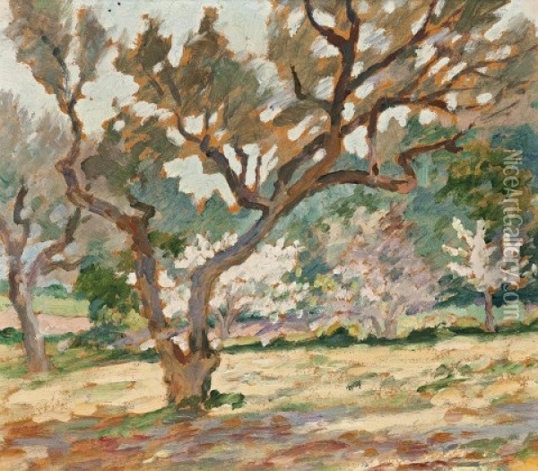 Landscape, South Of France Oil Painting - Rupert Bunny