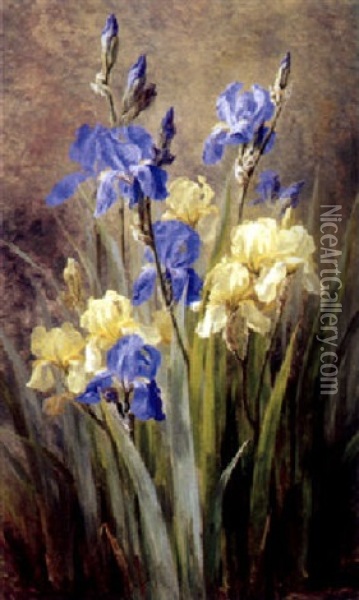 Gule Og Bla Iris Oil Painting - Anthonie Eleonore (Anthonore) Christensen