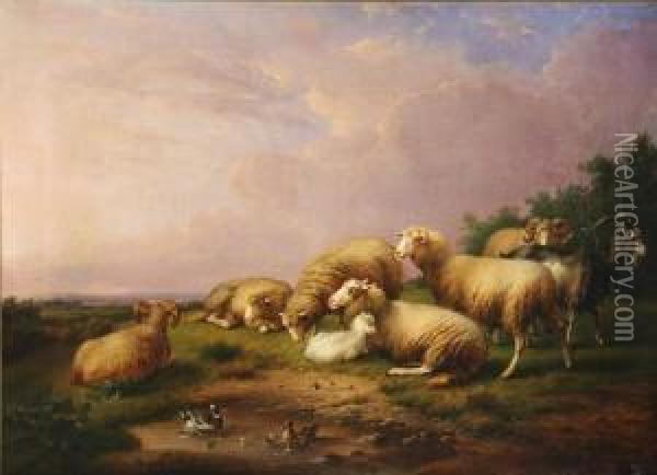 Sheep In A Rural Landscape Oil Painting - Francois Vandeverdonck