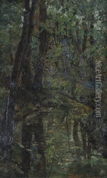 Untitled (forest Scene) Oil Painting - Robert Reid