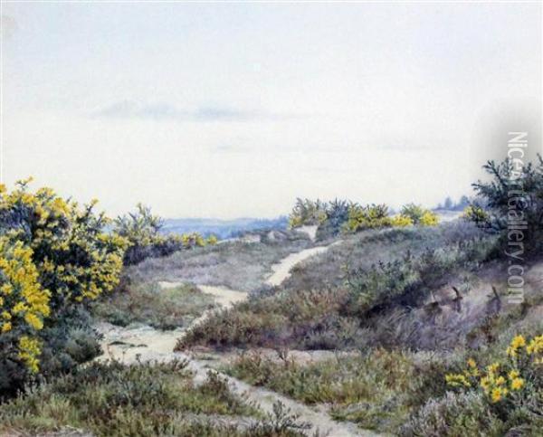 Gorse On Sand Dunes Oil Painting - Eliza Pratt Greatorex