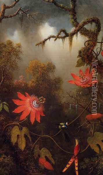 Two Hummingbirds Perched On Passion Flower Vines Oil Painting - Martin Johnson Heade