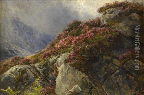 A Heather Covered Rocky Outcrop Oil Painting - James Jnr Faed