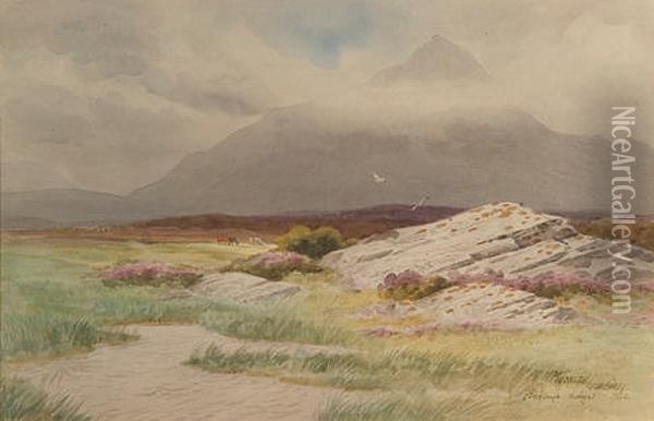 Muckish, Creeslough, Donegal Oil Painting - Joseph Carey Carey