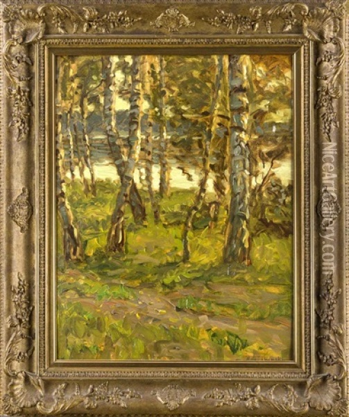 Impressionistischer Birkenhain Am Ufer Eines Waldsees Oil Painting - Max Jabonski