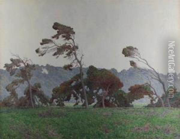 Pines At Monterey Oil Painting - Gunnar M. Widforss