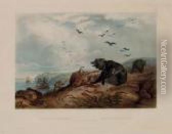 Hunting Of The Grizzly Bear, From Oil Painting - Karl Bodmer