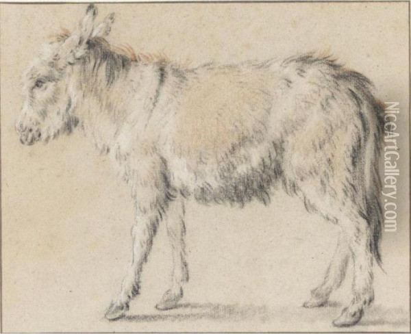 Donkey Oil Painting - Jean-Baptiste Huet I