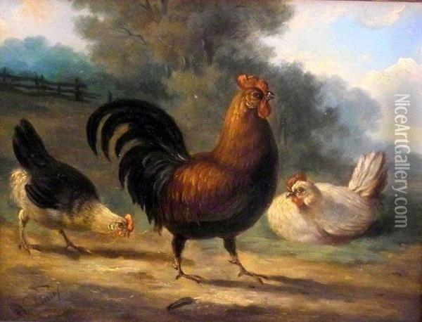 Im Vordergrund Hahn Und Zwei Hennen, Im Hintergrund Gatter Undbaume Oil Painting - Albertus Verhoesen