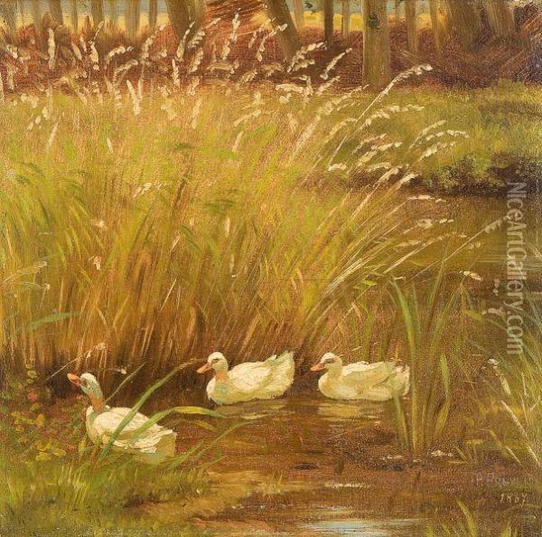 Nature Sketch Oil Painting - Paul Preyer
