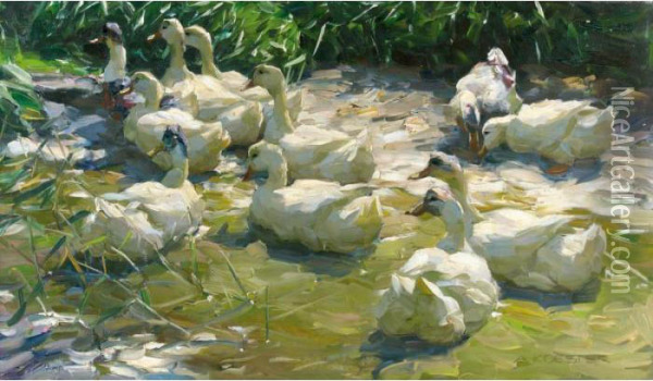 Ducks On A Lake Oil Painting - Alexander Max Koester