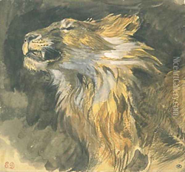 Head of a Lion Oil Painting - Eugene Delacroix