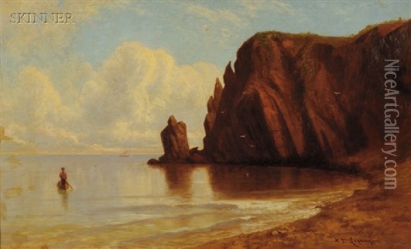 Coastal Cliffs Oil Painting - Nikolay Tysland Leganger