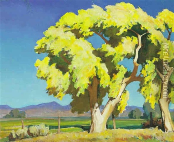 Young Cottonwoods Oil Painting - Maynard Dixon