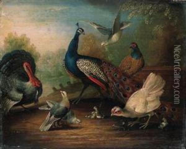 A Peacock, A Turkey, A Hen, Doves, Chicks And A Pheasant By Alake Oil Painting - Marmaduke Cradock