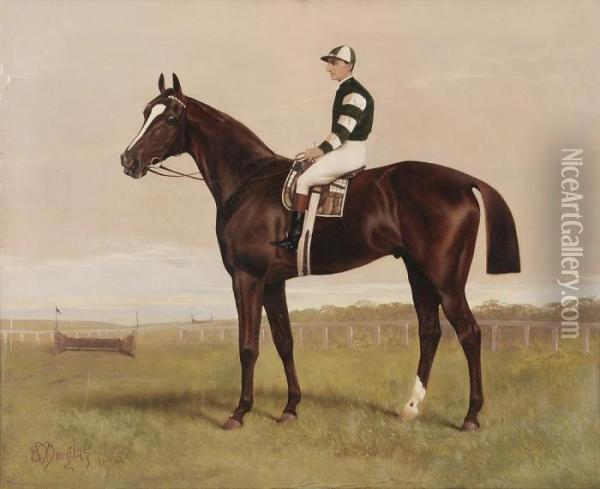 Jockey Up Oil Painting - Edwin Douglas