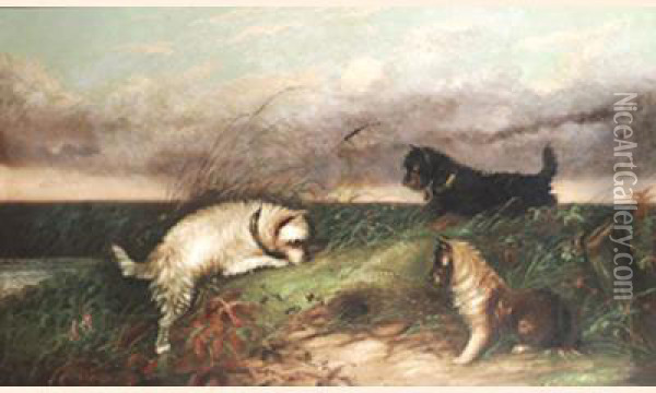 Terriers Rabbiting Oil Painting - J. Langlois