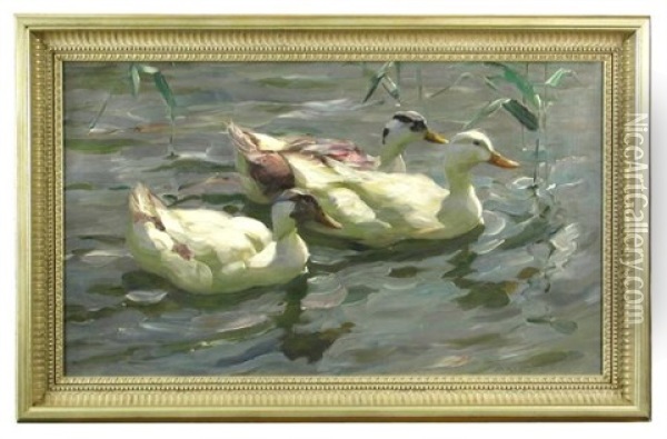 Three Ducks On A River (drei Enten) Oil Painting - Alexander Max Koester