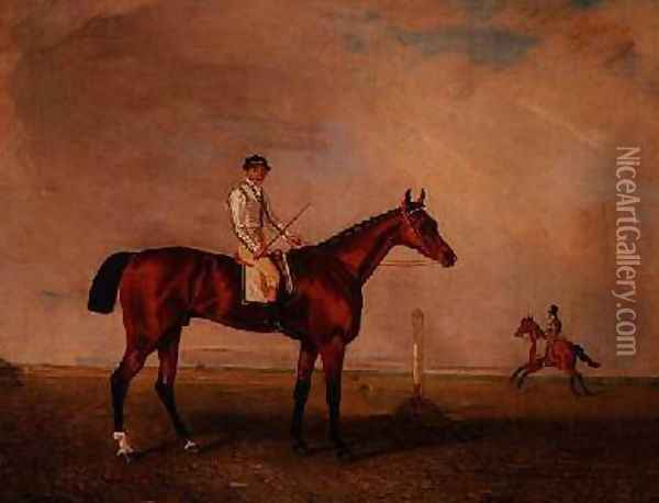 Bay racehorse with jockey on a racecourse Oil Painting - Lambert Marshall