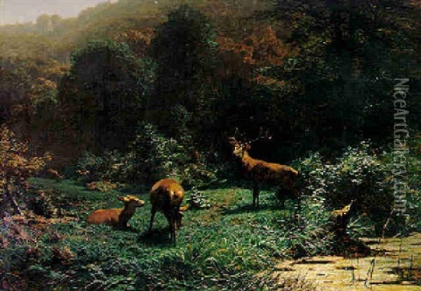 Rotwild Am Waldrand In Der Abendsonne Oil Painting - Christian (Johann Christian) Kroener