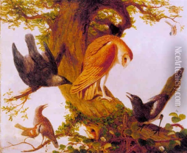 An Assembly Of Birds On The Branch Of An Oak Tree Oil Painting - Prideaux John Selby