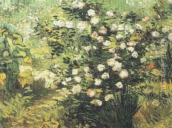 Rosebush In Blossom Oil Painting - Vincent Van Gogh