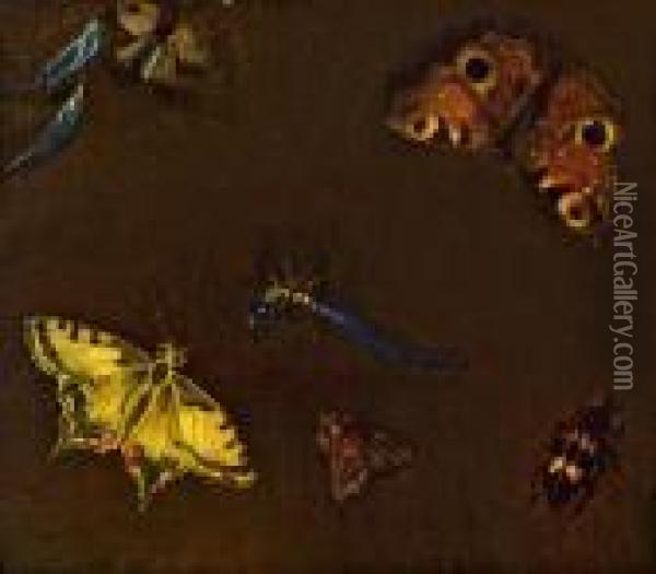Schmetterlinge Und Insekten Oil Painting - Jan van Kessel