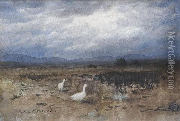 Achill Geese Oil Painting - William Percy French