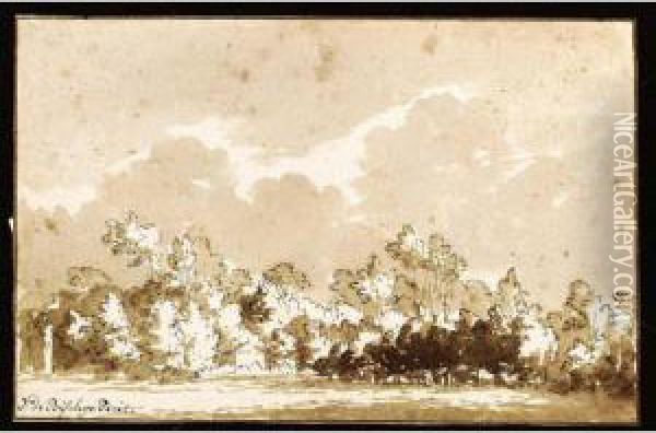 View Of Trees, Near Rijswijk Oil Painting - Johannes Episcopius