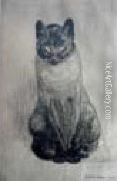 Chat Siamois Oil Painting - Theophile Alexandre Steinlen