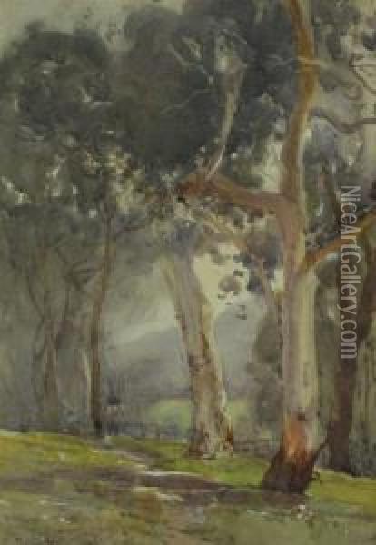 Untitled - Snowgums Oil Painting - Walter Withers
