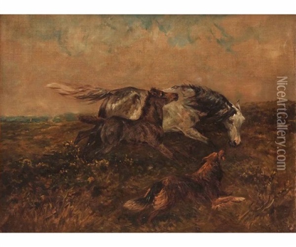 Runaway Horses With Dog Oil Painting - John Emms