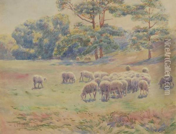 Sheep Pasture Oil Painting - Charles H. Hayden