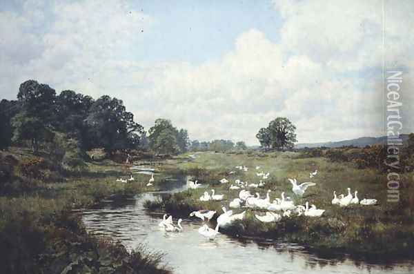 The Freedom of the Common, Wonhams Marsh, Surrey, 1905 Oil Painting - Edward Wilkins Waite