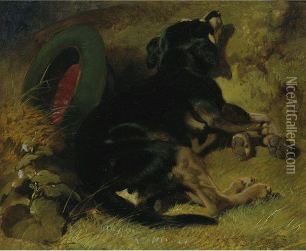 A Dog Sleeping Near A Hat On A Grassy Bank Oil Painting - John Frederick Herring Snr