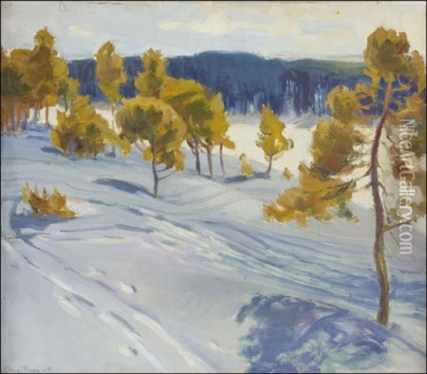 Aurinkoinen Talvipaiva - Solig Vinterdag Oil Painting - Alexander Rapp