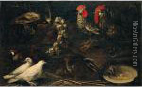 Still Life Of Cockerels, White 
Doves, A Jay, Grey And Red-legged Partridge And A Cat, Together With A 
Wicker Basket Of Garlic Oil Painting - Jacomo (or Victor, Jacobus) Victors