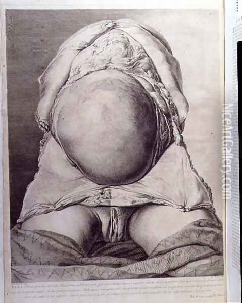 Anatomical drawing of the abdomen of a pregnant female human with skin peeled back, engraved by Francois Simon Ravenet 1706-74 pub. 1774 Oil Painting - Jan van Rymsdyk