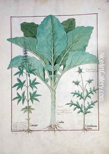 Cannabis, Brassica and Thistle, Illustration from the Book of Simple Medicines by Mattheaus Platearius d.c.1161 c.1470 Oil Painting - Robinet Testard