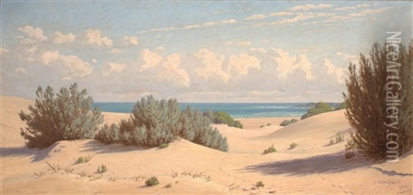 The Sand Dunes Of The Sea Oil Painting - Jan Ernst Abraham Volschenk