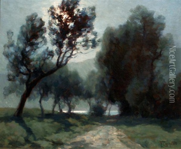 Le Chemin Du Lac Saint Alban De Montbel Oil Painting - Francois Charles Cachoud