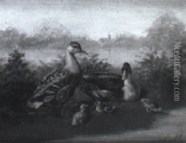 Ducks By A Pond Oil Painting - Wilhelm Oertel