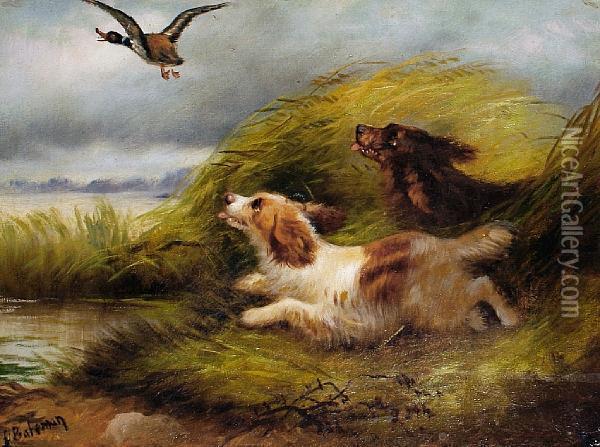 Flushing Out The Ducks; Breaking From Cover Oil Painting - G. Bateman