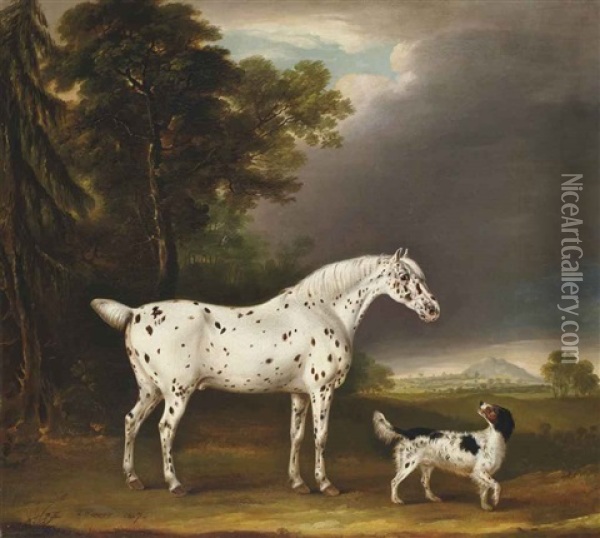 Cheval Appaloosa Et Epagneul Oil Painting - Thomas Weaver